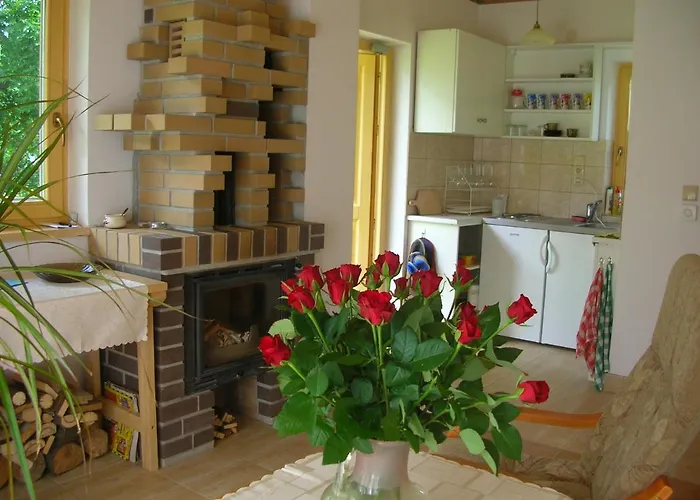 U Mikolaja シャレー ザコパネ